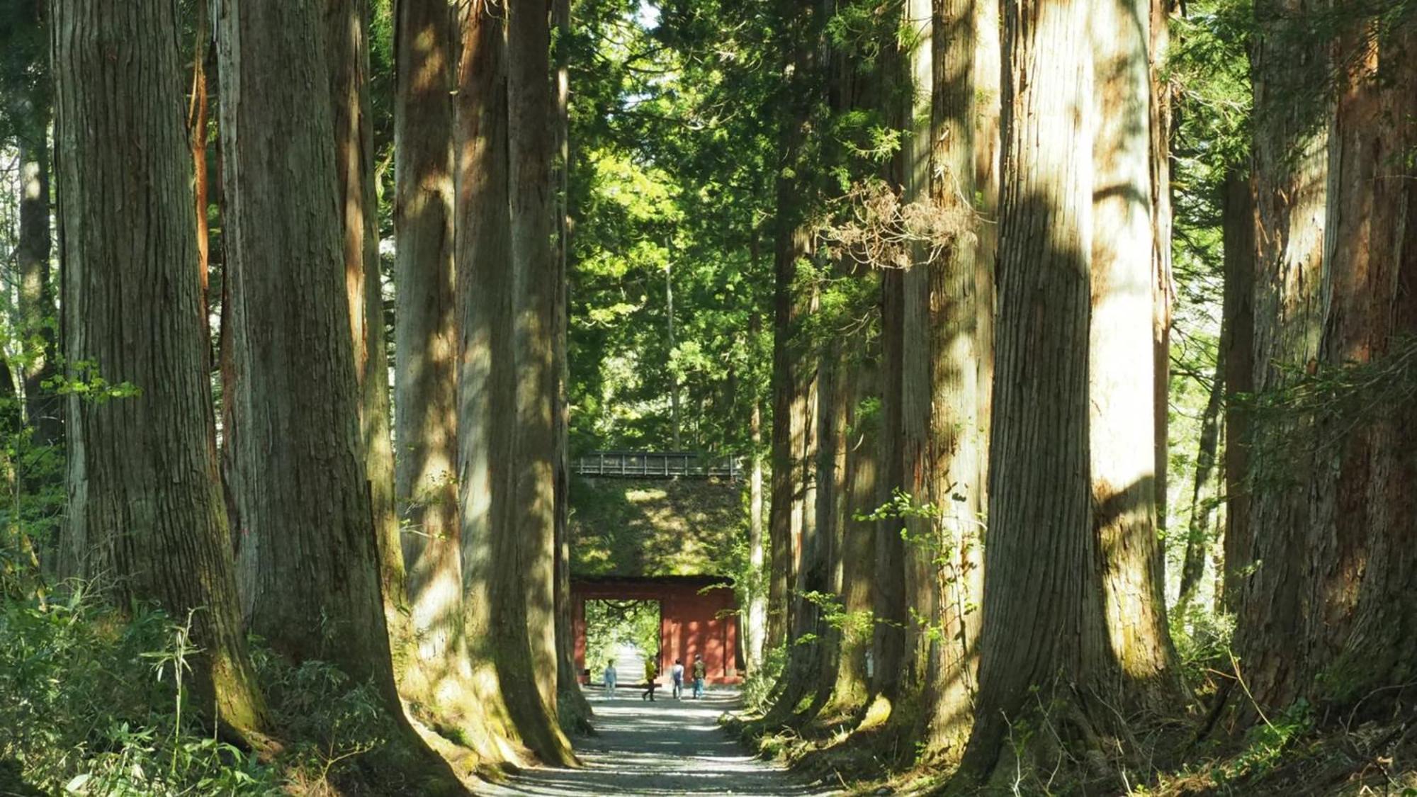 Toyoko Inn Nagano Eki Zenkoji Guchi Exterior foto